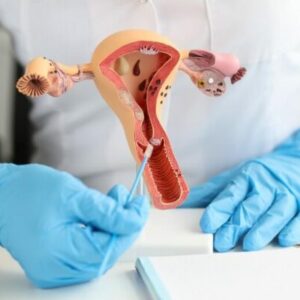 Curso online - Nutrición y suplementación en sistema ginecológico