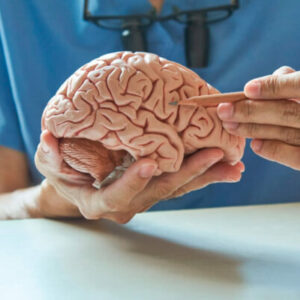 Curso online - Suplementación y nutrición integrativa en neurología